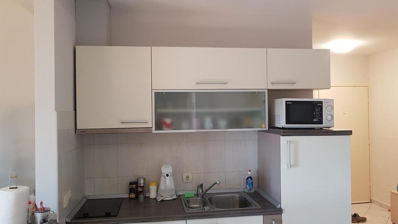 Apartment Viktor,Parking 奥西耶克 外观 照片