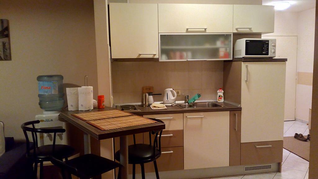 Apartment Viktor,Parking 奥西耶克 外观 照片